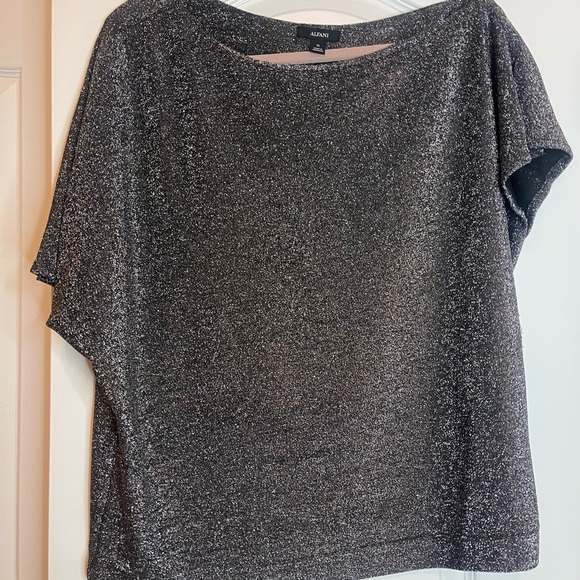 Alfani Boatneck Silver short sleeve top size XL EUC - Picture 4 of 6